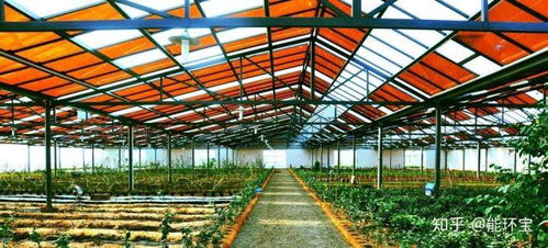 光伏發電的應用場景,看完絕對會震撼