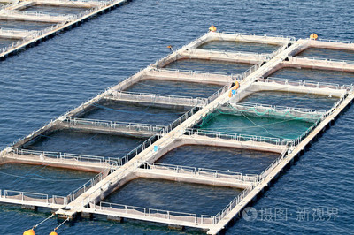 水產養殖照片-正版商用圖片19ady2-攝圖新視界